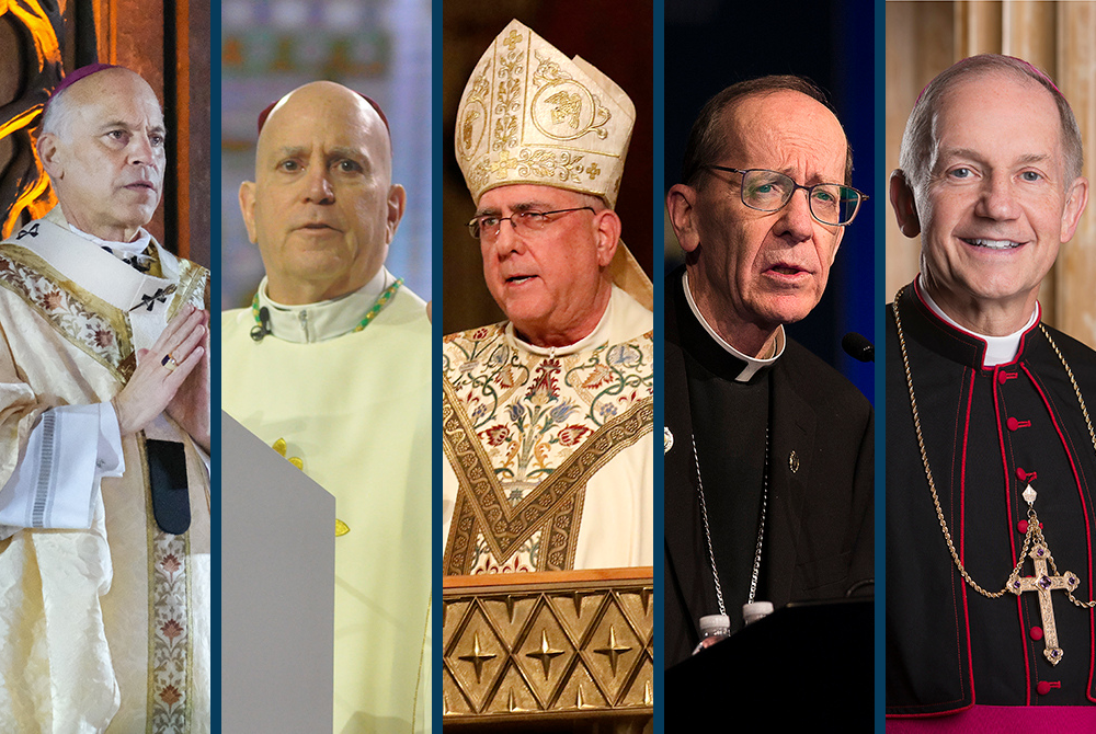 Who Are The Bishops Pushing Communion-denial Efforts? | National ...